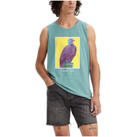 Haut graphique en coton de coupe décontractée pour hommes, Flyer, Levi's Front_Flat