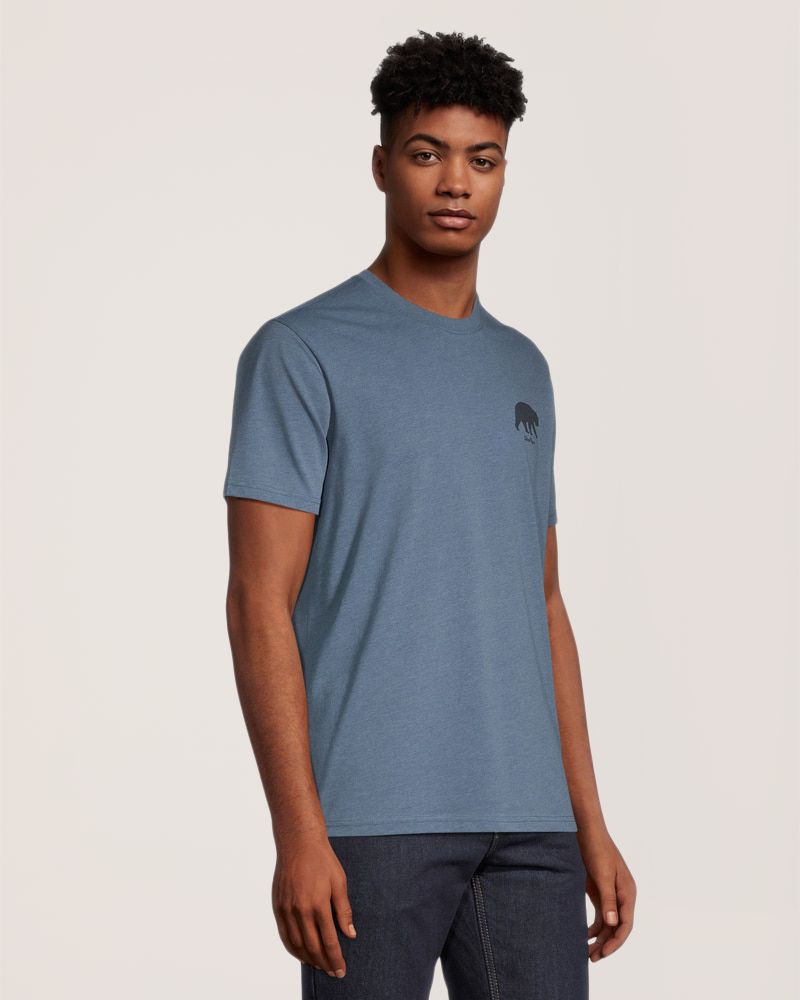 WindRiver Men's Bear Graphic T-Shirt