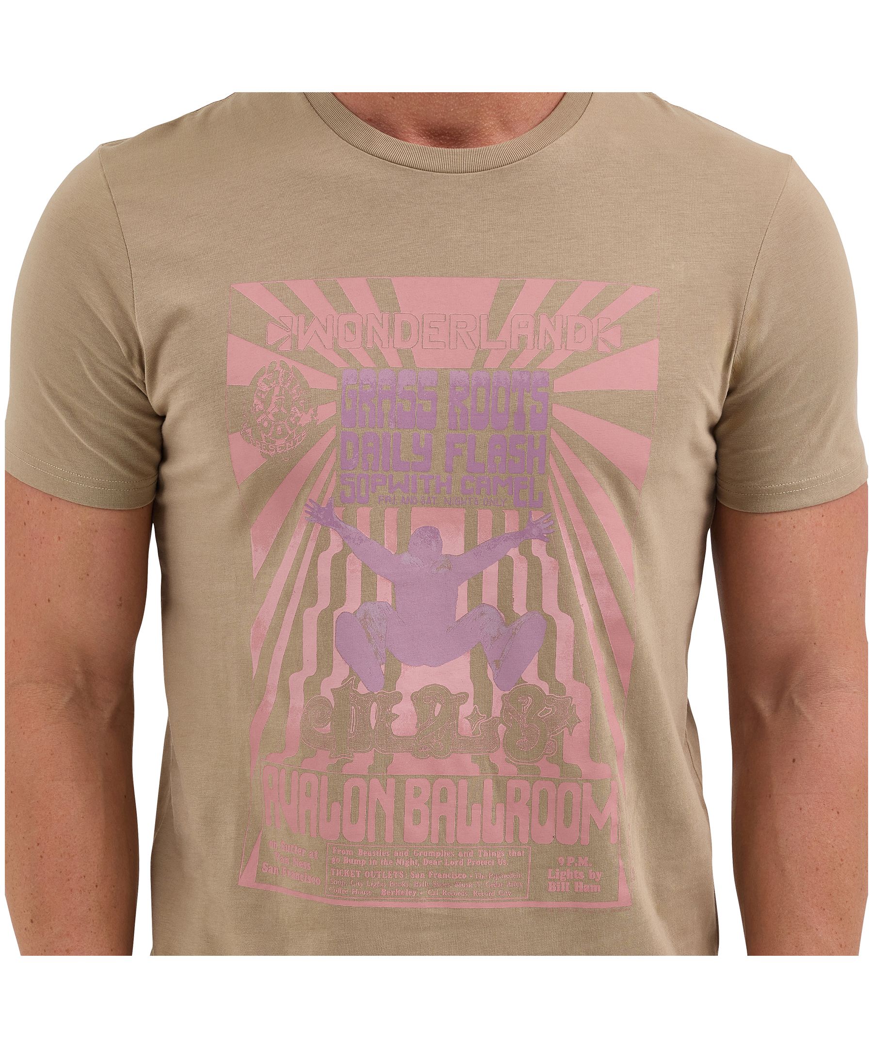 T-shirt avec graphique PI pour hommes, chien de famille et pays des merveilles, Wrangler