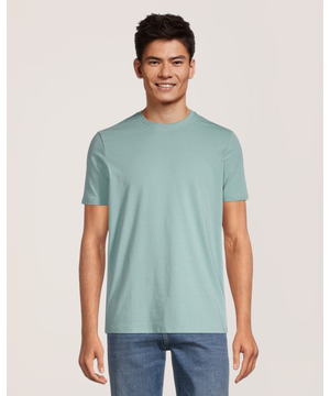 T-shirt extensible de coupe moderne à col ras du cou pour hommes, Denver Hayes