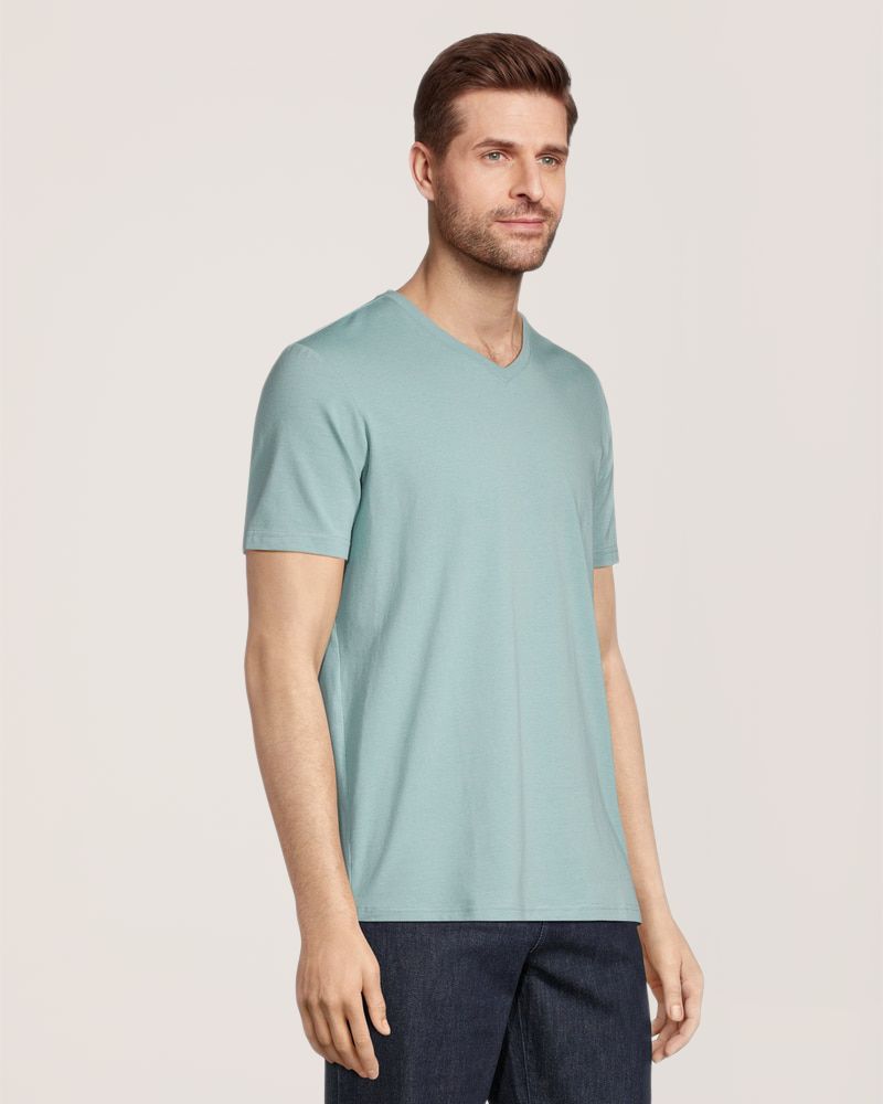 T-shirt extensible de coupe moderne à encolure en V pour hommes, Denver Hayes