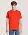 Helly Hansen Men's HH Back Graphic T Shirt