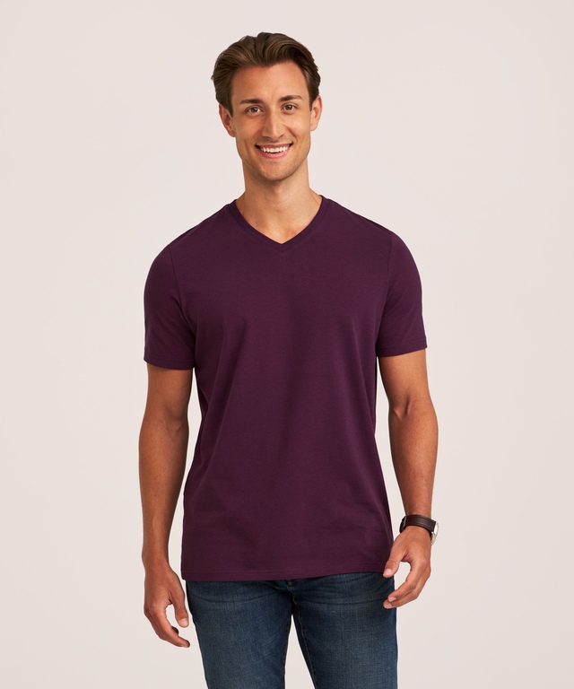 Denver Hayes Men's Seasonal Stretch V Neck T-Shirt