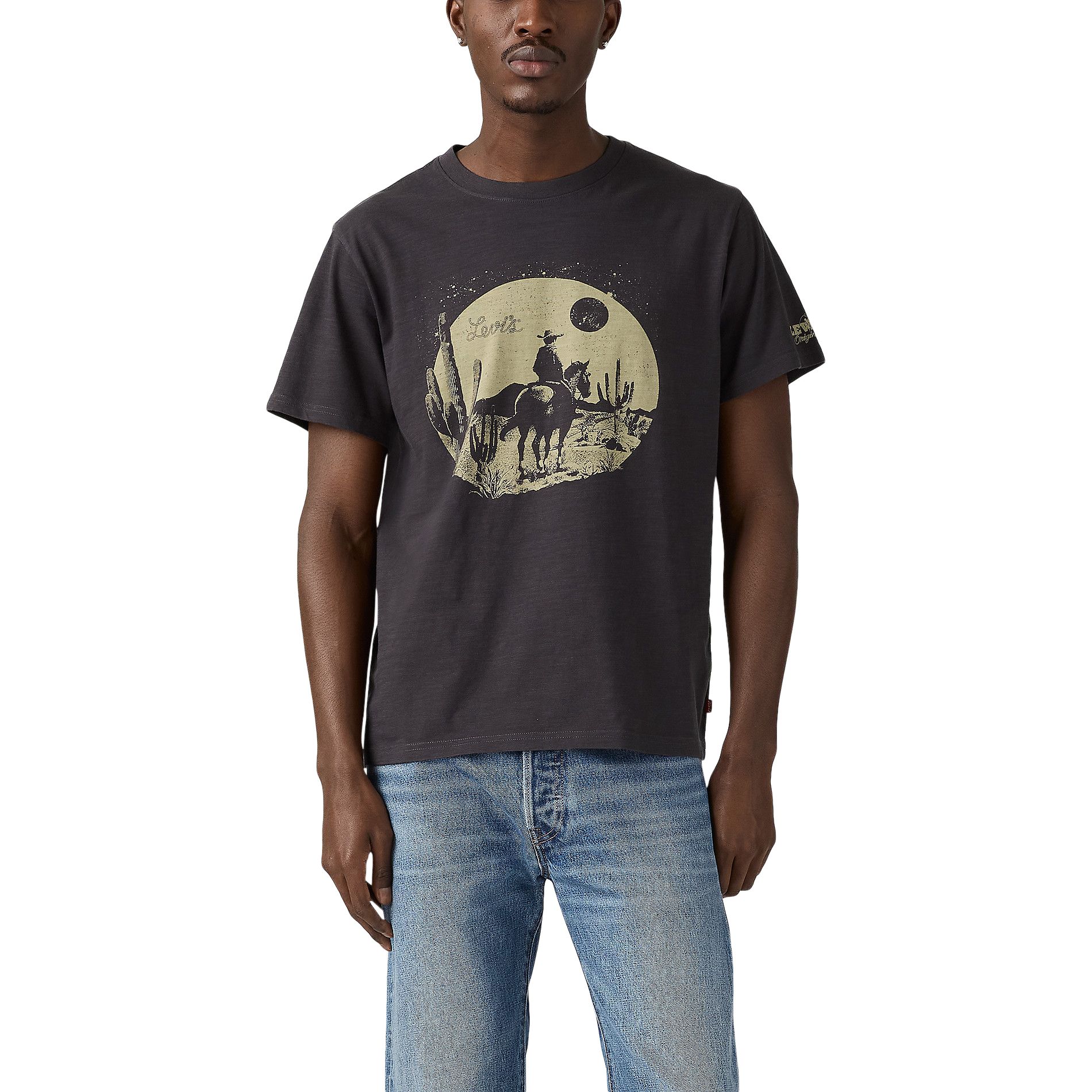 Levi's Men's Desert Graphic T Shirt