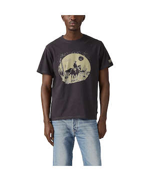 Levi's Men's Desert Graphic T Shirt