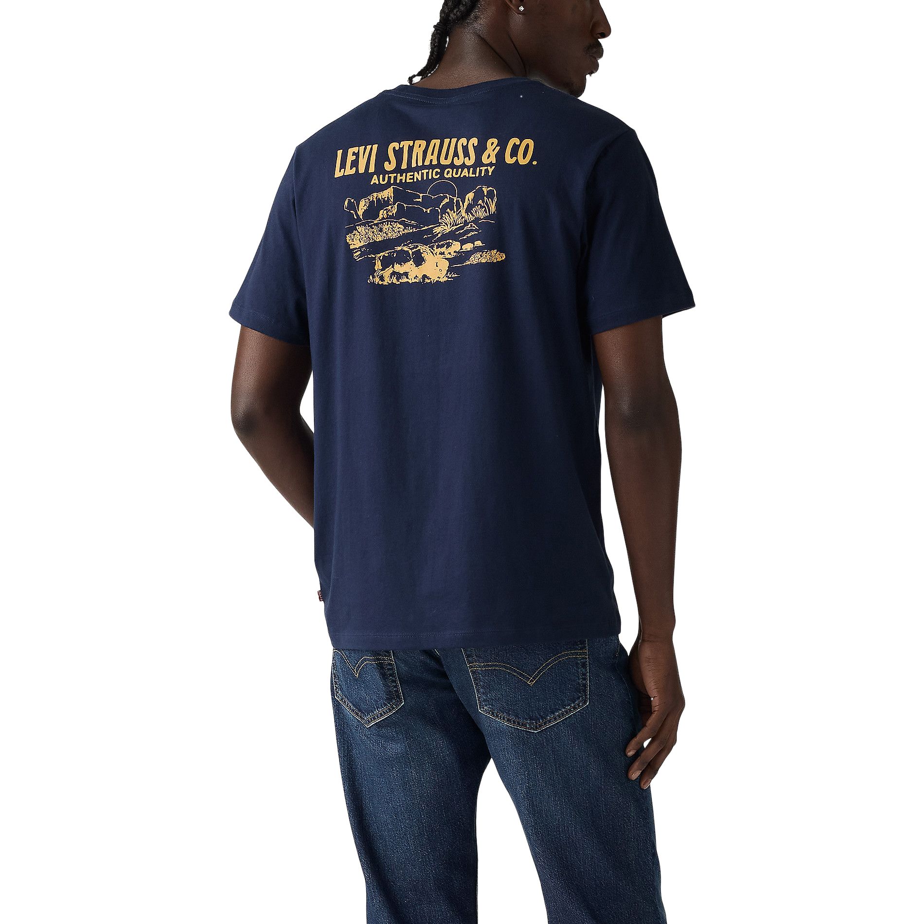 T-shirt graphique à motif de plaines pour hommes, Levi's