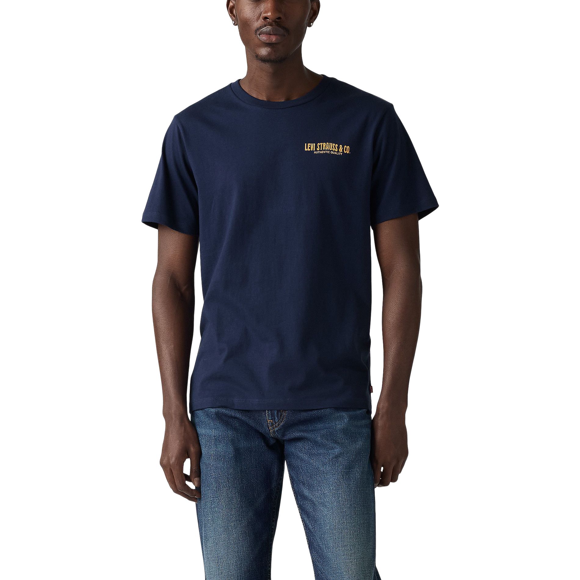 T-shirt graphique à motif de plaines pour hommes, Levi's