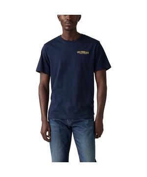 T-shirt graphique à motif de plaines pour hommes, Levi's