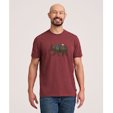 T-shirt graphique à manches courtes à motif d’ours pour hommes, WindRiver Front_Flat