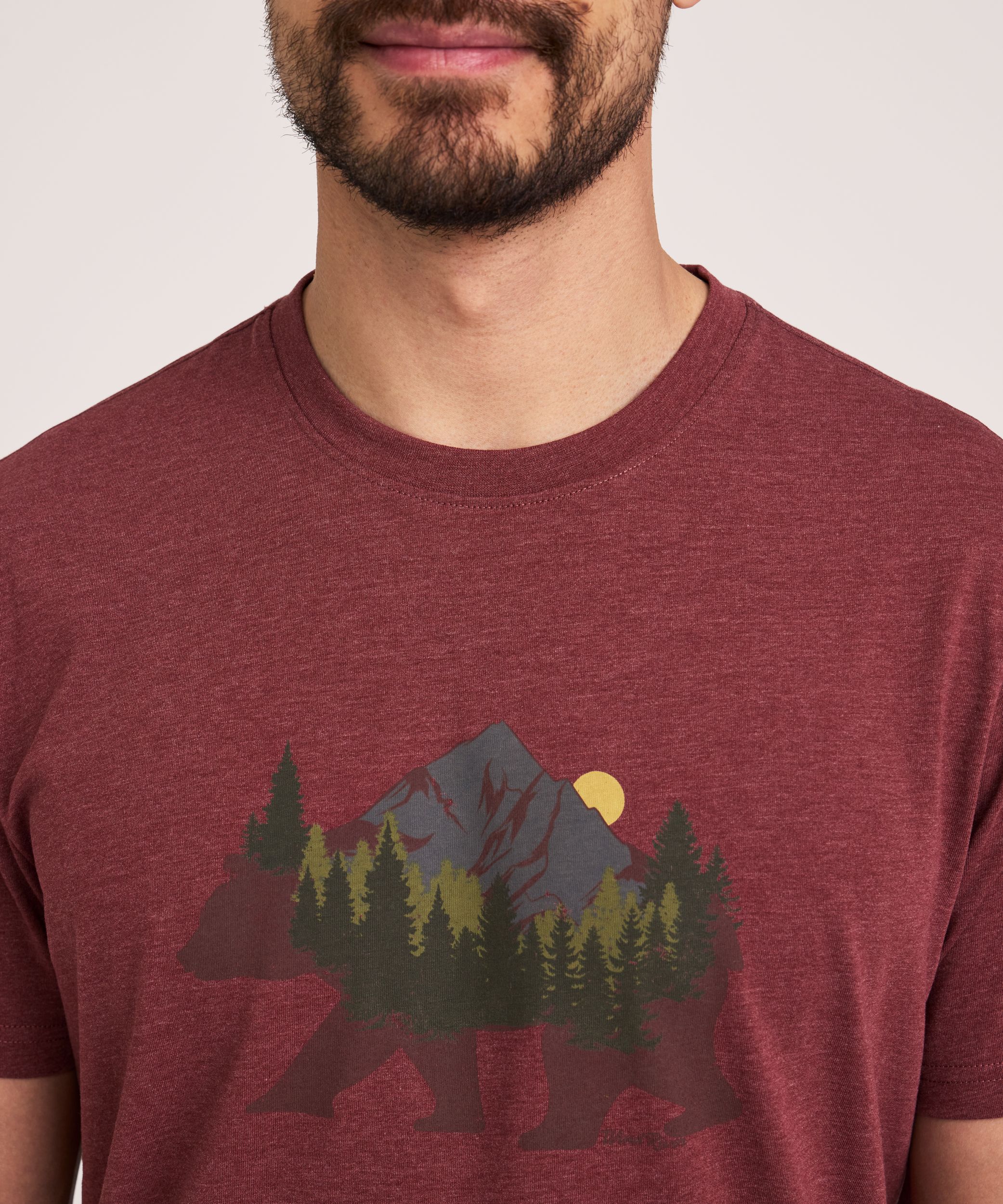 T-shirt graphique à manches courtes à motif d’ours pour hommes, WindRiver