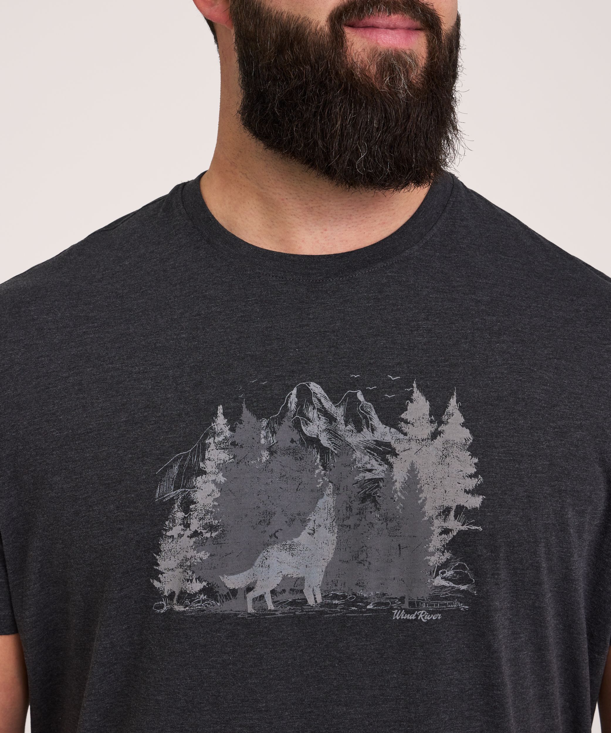 T-shirt graphique à manches courtes à motif d’ours pour hommes, WindRiver
