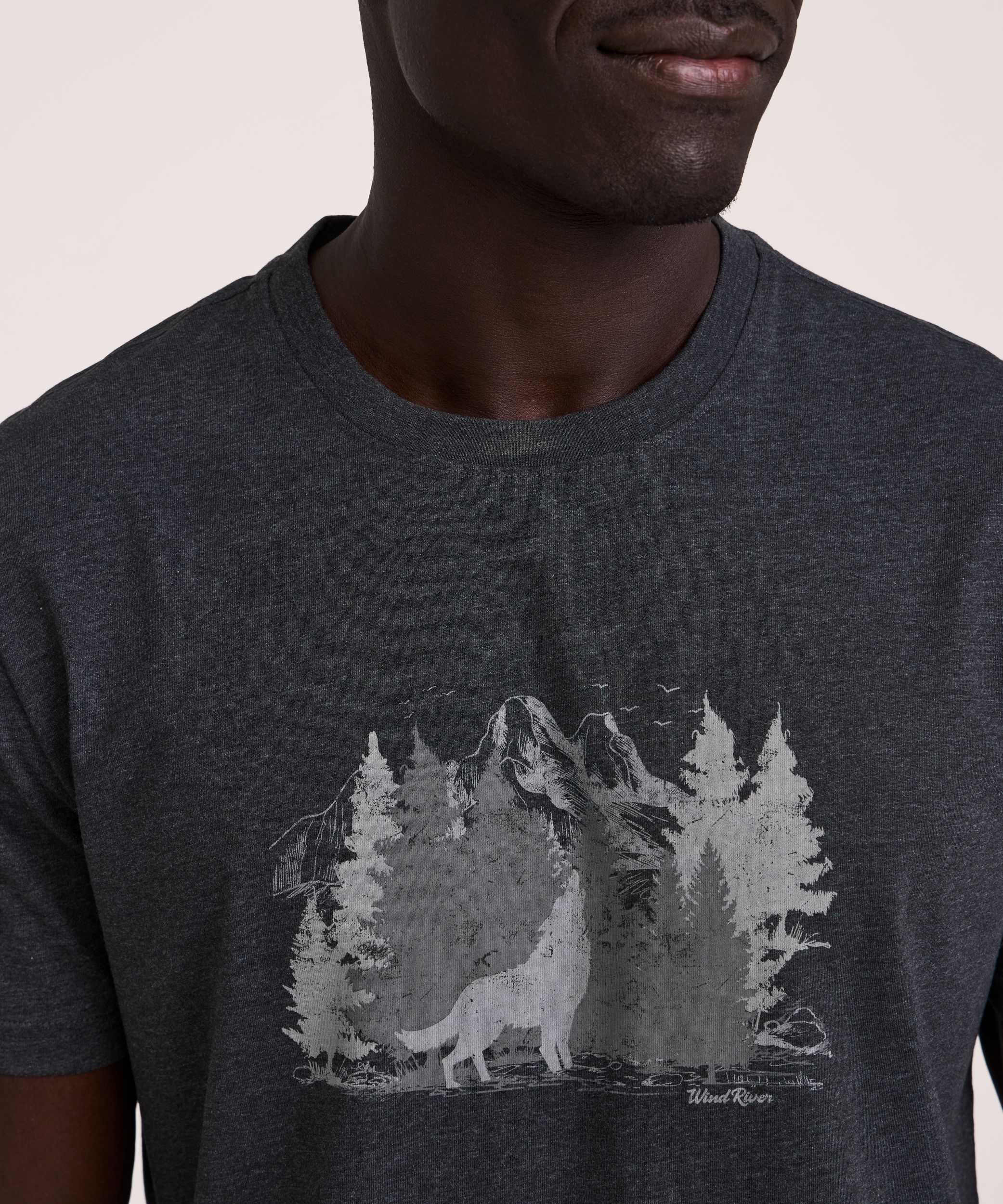 T-shirt graphique à manches courtes à motif d’ours pour hommes, WindRiver