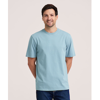 T-shirt à coupe classique à col ras du cou 50&nbsp;lavages pour hommes, Denver Hayes