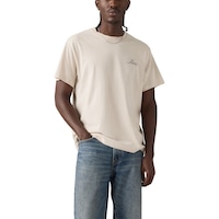 Levi's Men's Relaxed Greetings From Graphic T-Shirt Front_Flat