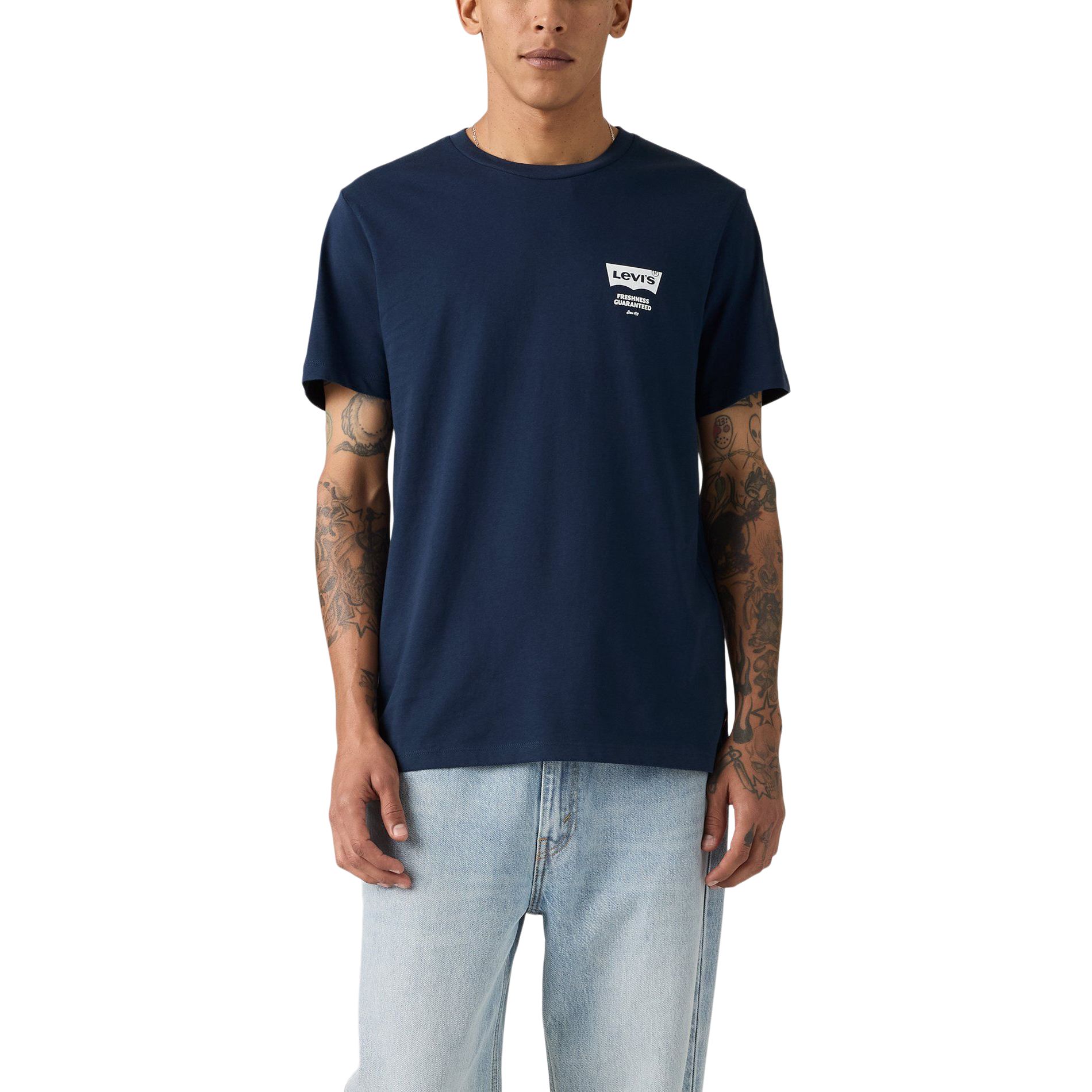 Levi's Men's Paisley Stripe Graphic T-Shirt