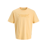 Jack & Jones Men's Aiden Garment Wash Short Sleeve T-Shirt Front_Flat