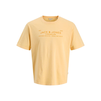 Jack & Jones Men's Aiden Garment Wash Short Sleeve T-Shirt Front_Flat