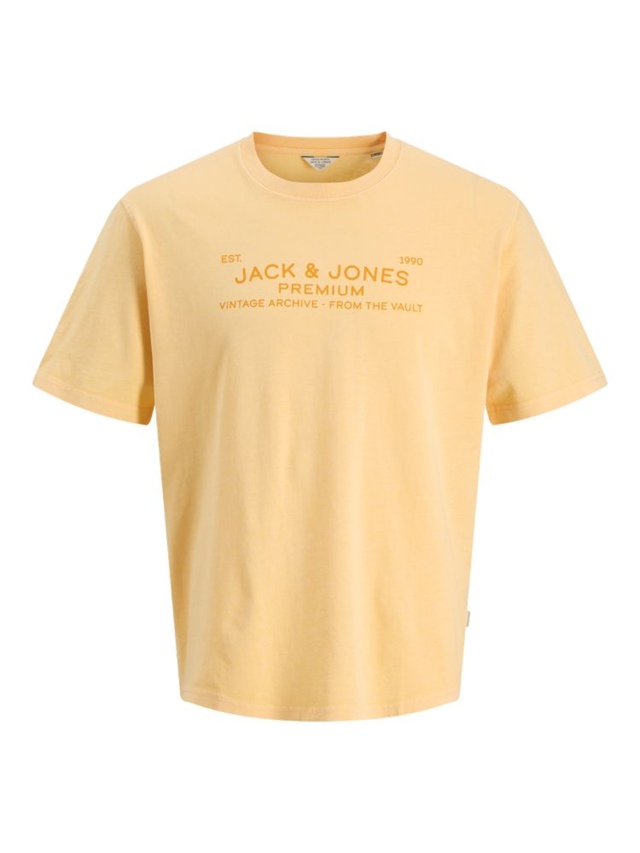 Jack & Jones Men's Aiden Garment Wash Short Sleeve T-Shirt