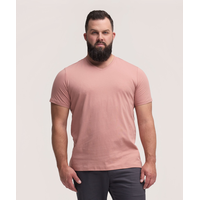 Denver Hayes Men's Short Sleeve Seasonal Stretch V-Neck T-Shirt