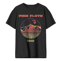 T-shirt graphique pour hommes, Pink Floyd