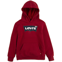 Chandail à capuche à enfiler en molleton avec graphique d'ailes de chauve-souris pour garçons, Levi's Front_Flat