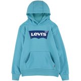 Chandail à capuche à enfiler en molleton avec graphique d'ailes de chauve-souris pour garçons, Levi's Front_Flat