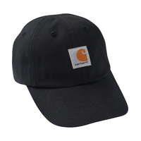 Carhartt Kids' Unisex Signature Canvas Ball Cap Front_Angled_Right