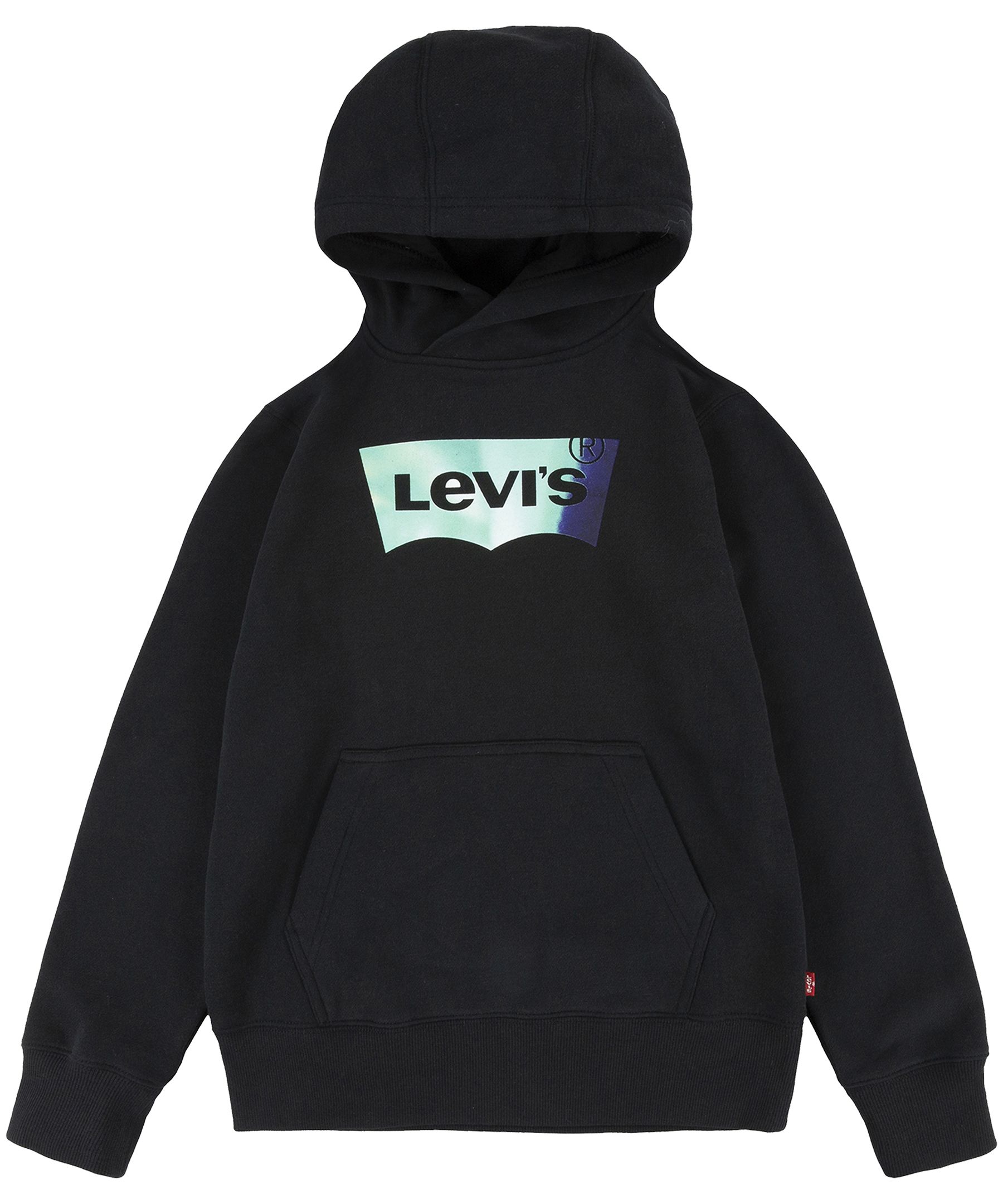 Kids shop levi hoodie