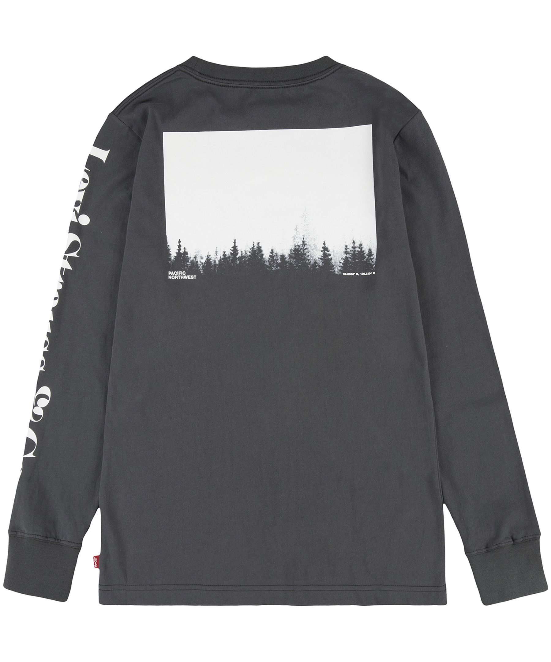 Levi's Boys' 7-16 Years Wolf Crewneck Long Sleeve Graphic T Shirt