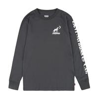 Levi's Boys' 7-16 Years Wolf Crewneck Long Sleeve Graphic T Shirt Front_Flat