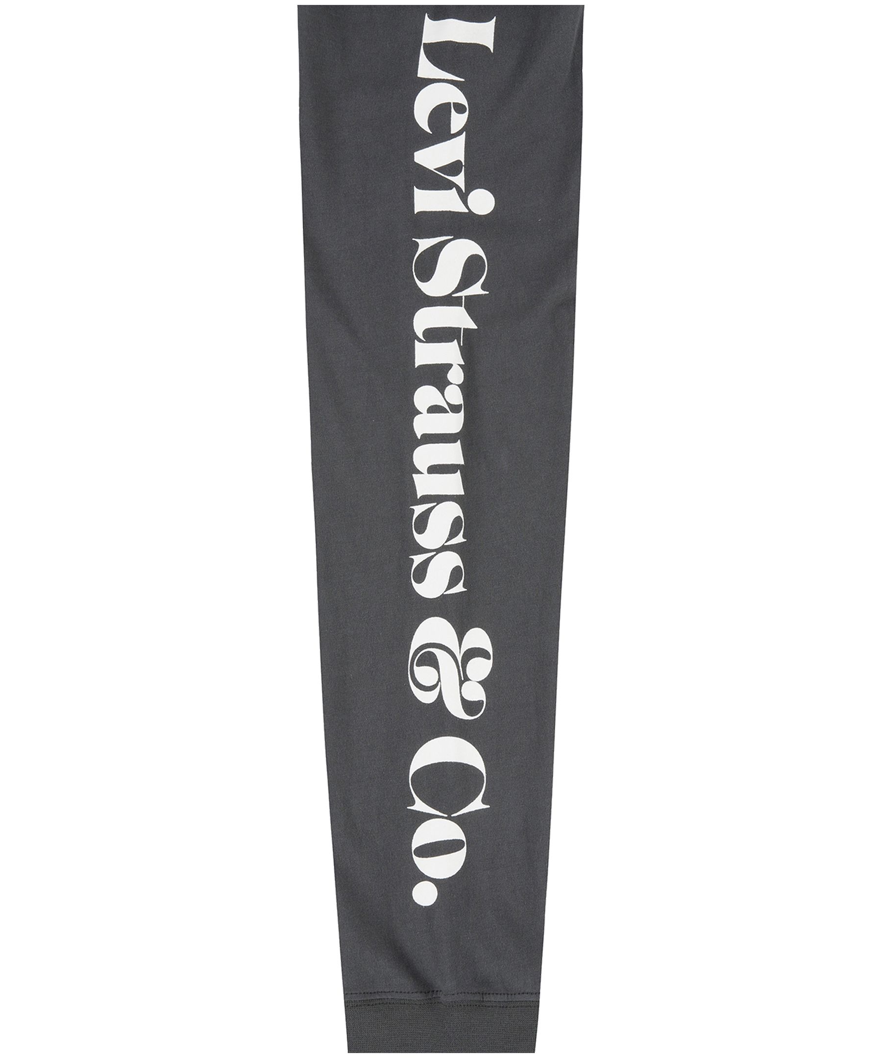 Levi's Boys' 7-16 Years Wolf Crewneck Long Sleeve Graphic T Shirt