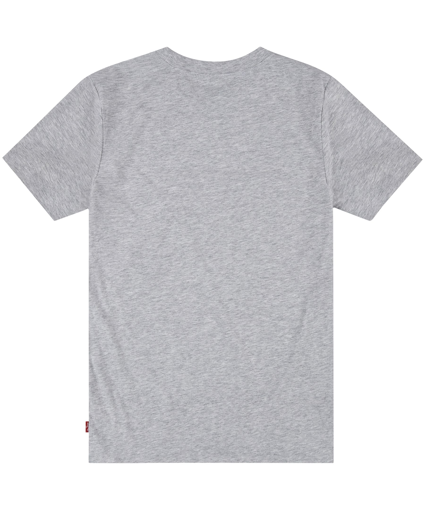 Levi's Boys' 7-16 Years Earth Crewneck Graphic T Shirt