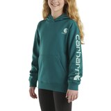 Carhartt Kids' Unisex Logo Graphic Pullover Hoodie Front_Angled_Left