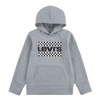 Levi's Kids' Unisex Graphic Pullover Hoodie Front_Flat