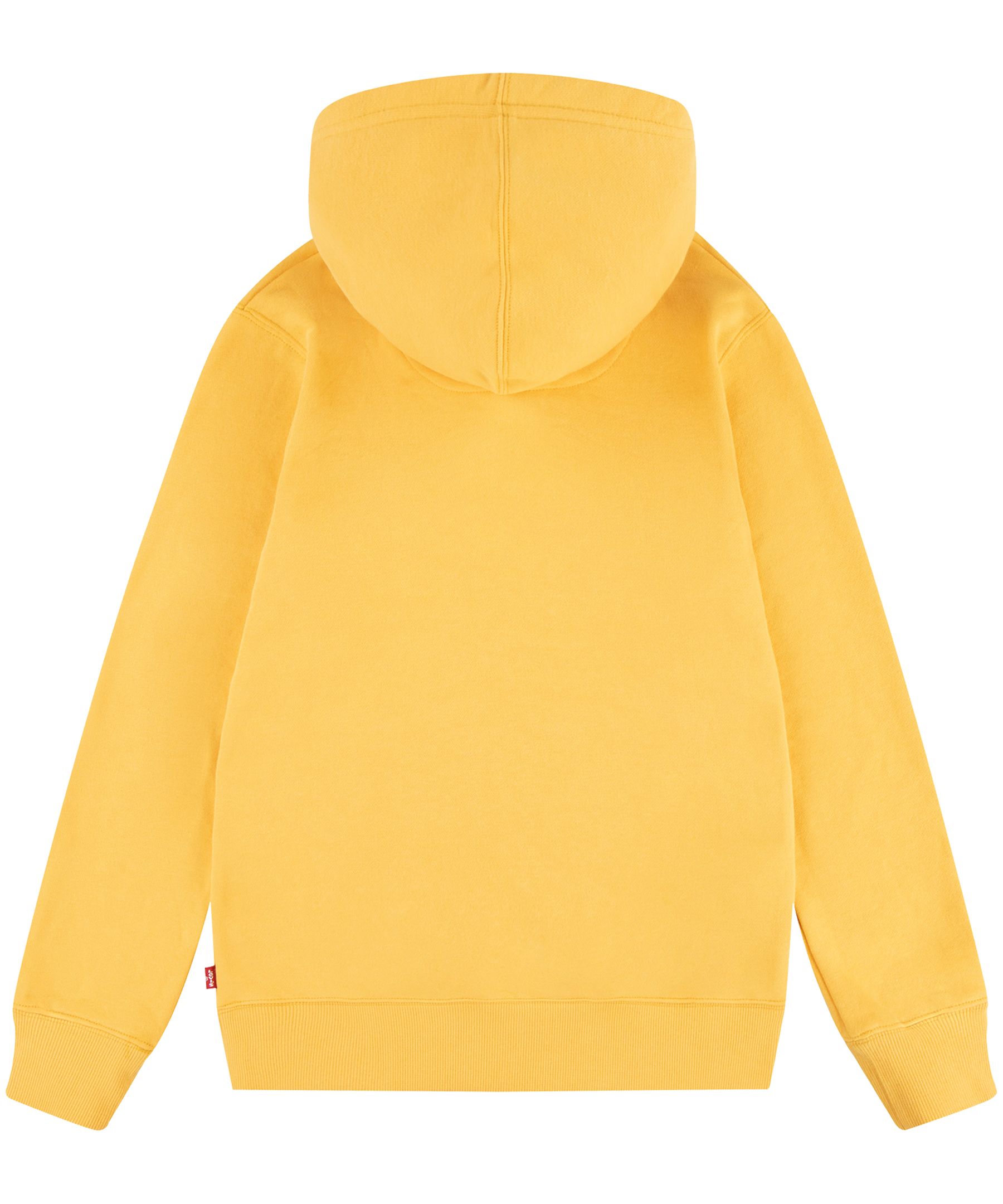 Chandail à capuche à enfiler avec graphique de chauve-souris unisexe pour jeunes, Levi's