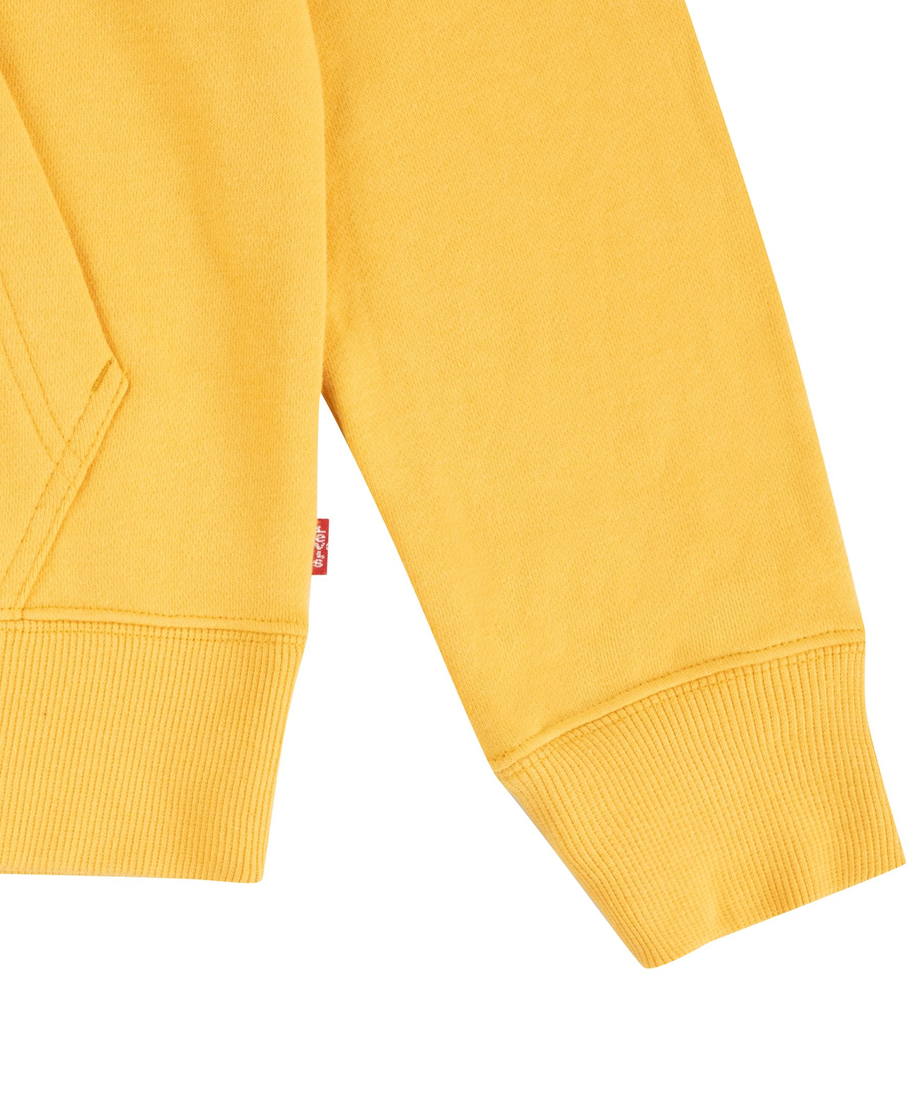 Chandail à capuche à enfiler avec graphique de chauve-souris unisexe pour jeunes, Levi's