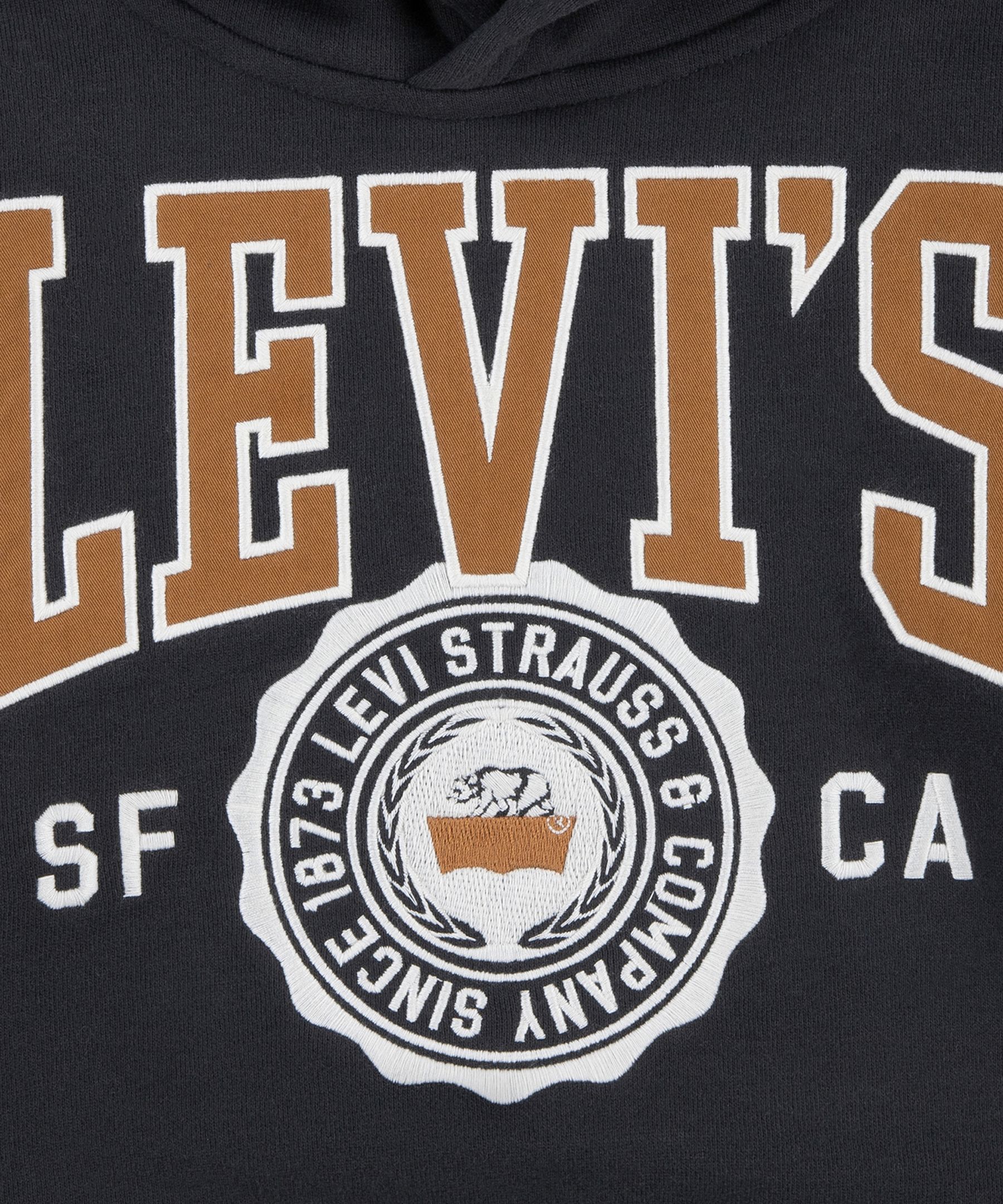 Levi's Kids' Unisex Sporty Vintage Hoodie