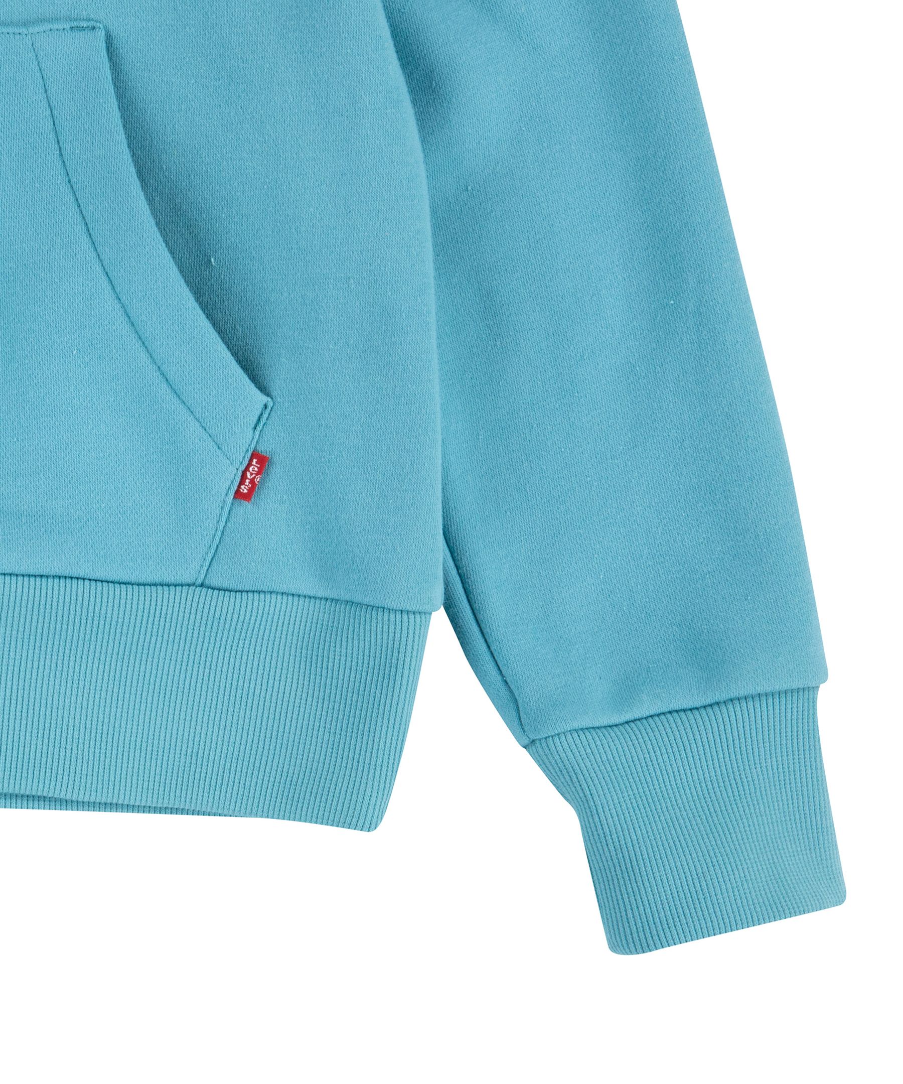 Levi's Kids' Unisex Core Batwing Pull Over Hoodie