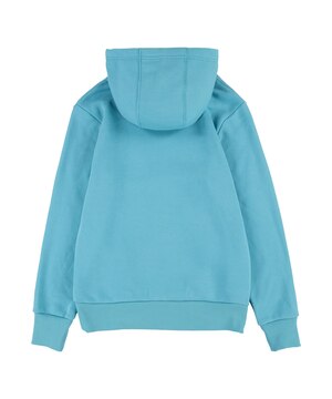 Chandail à capuche à enfiler chauve-souris unisexe pour enfants~ Levi's