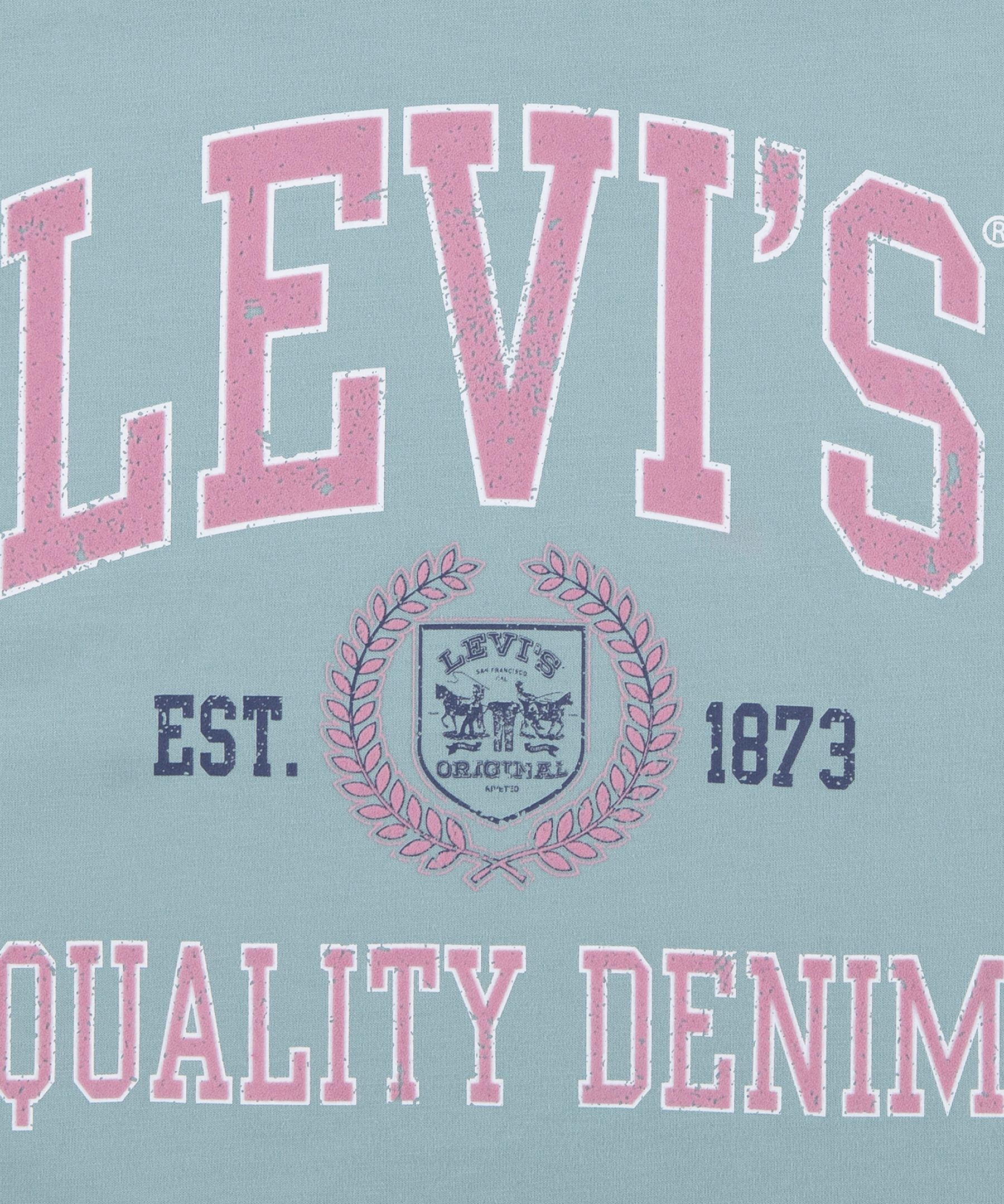 T-shirt à manches courtes universitaires unisexes pour enfants, Meet and Greet, Levi's