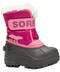 Sorel