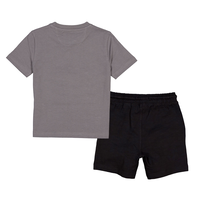 Silver Toddler Unisex Short Sleeve T Shirt Set Back_Flat