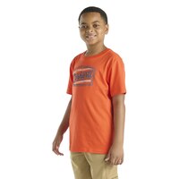 T-shirt unisexe «Generations» pour enfants, Carhartt Front_Angled_Left