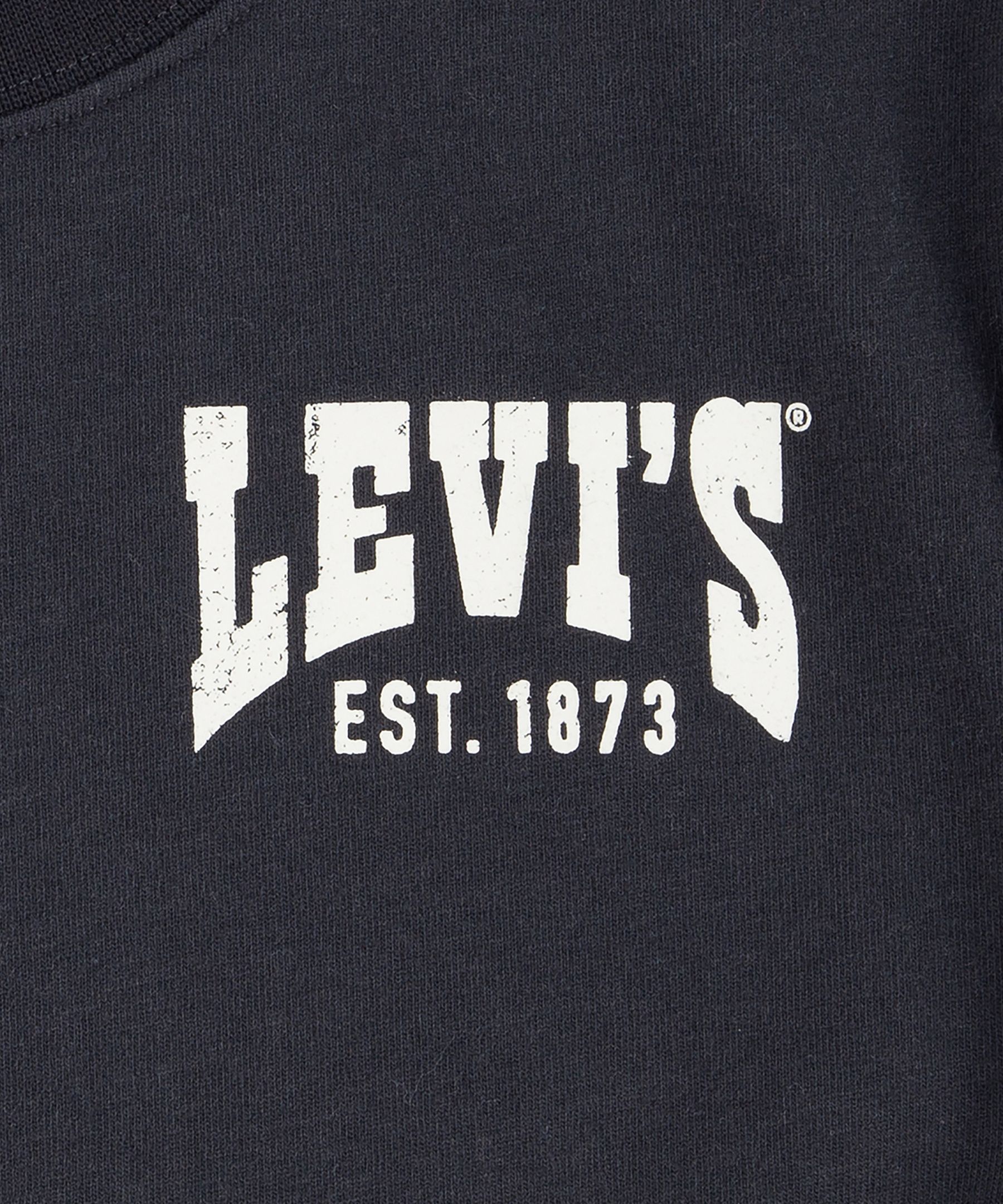 Levi's Youth Unisex Valley View Short Sleeve T Shirt