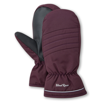 WindRiver Kids' Winter Mitts