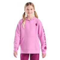 Chandail graphique en molleton unisexe à manches longues pour jeunes, Carhartt Front_Flat