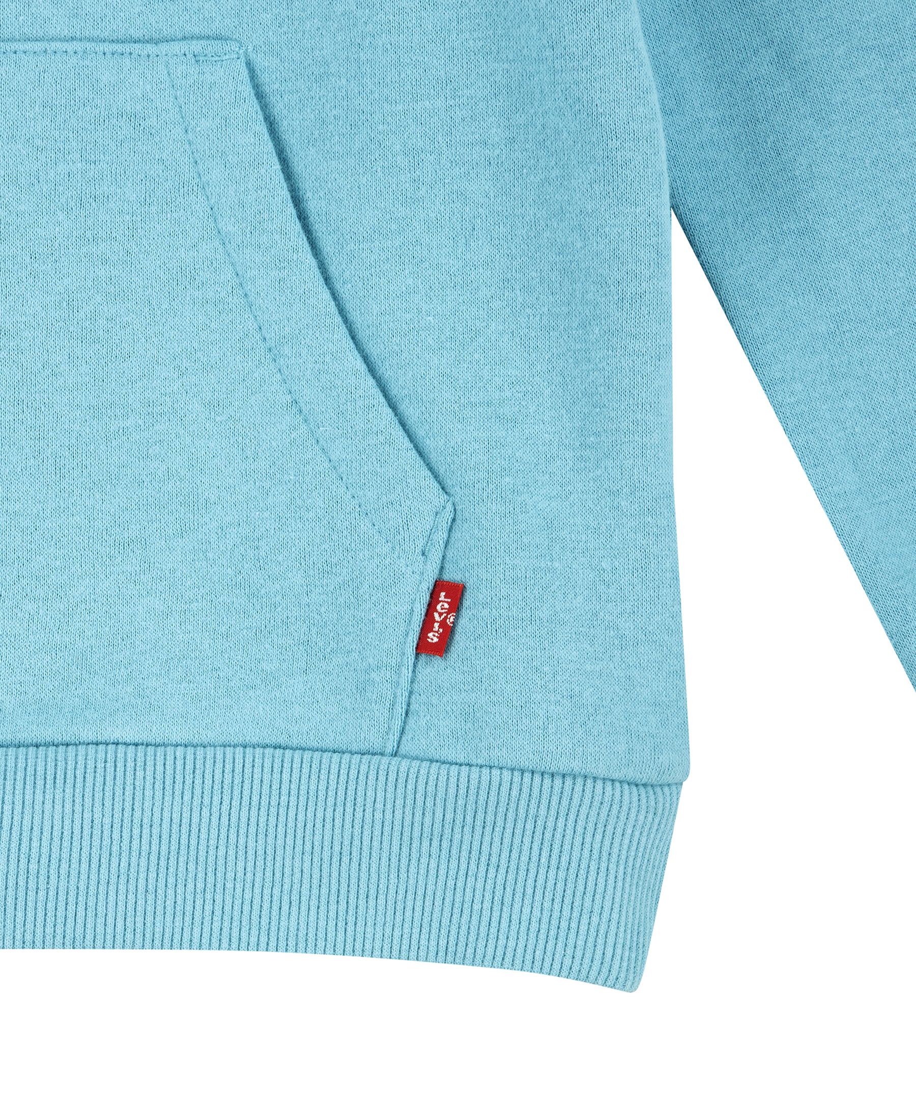 Levi's Youth Unisex Batwing Hoodie