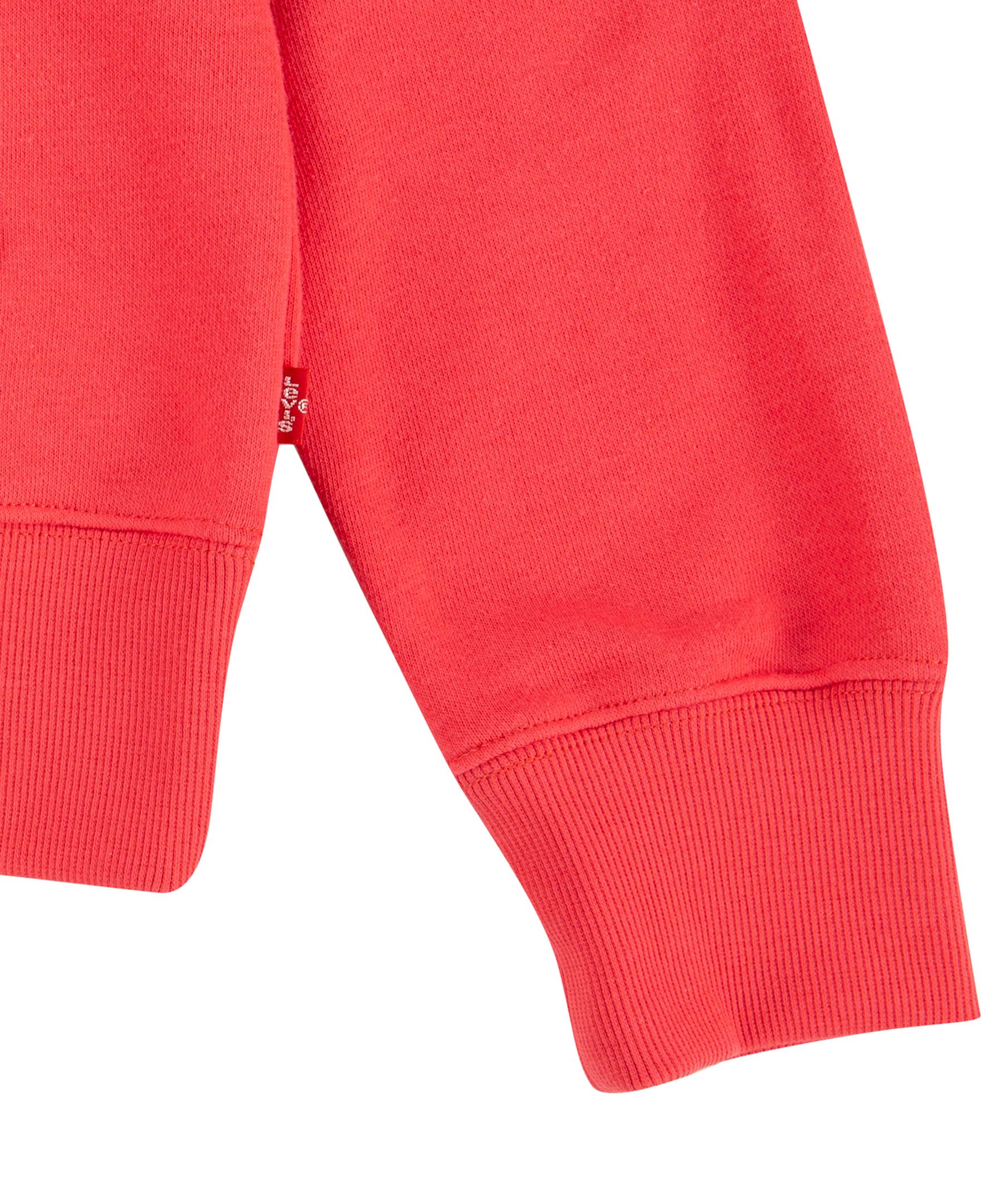 Chandail à capuche avec logo affiche unisexe pour jeunes, Levi's