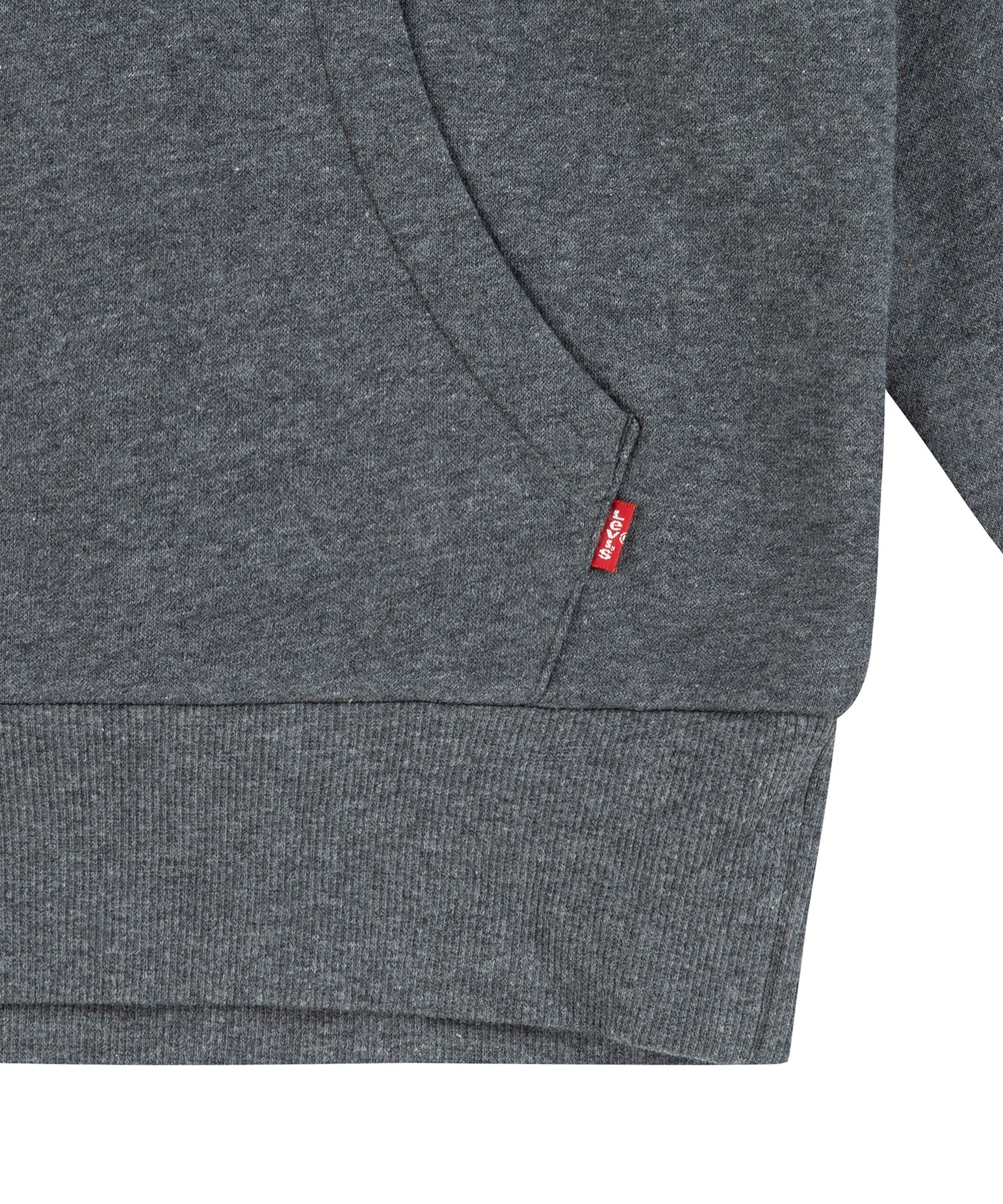 Levi's Youth Unisex Varsity Logo Hoodie