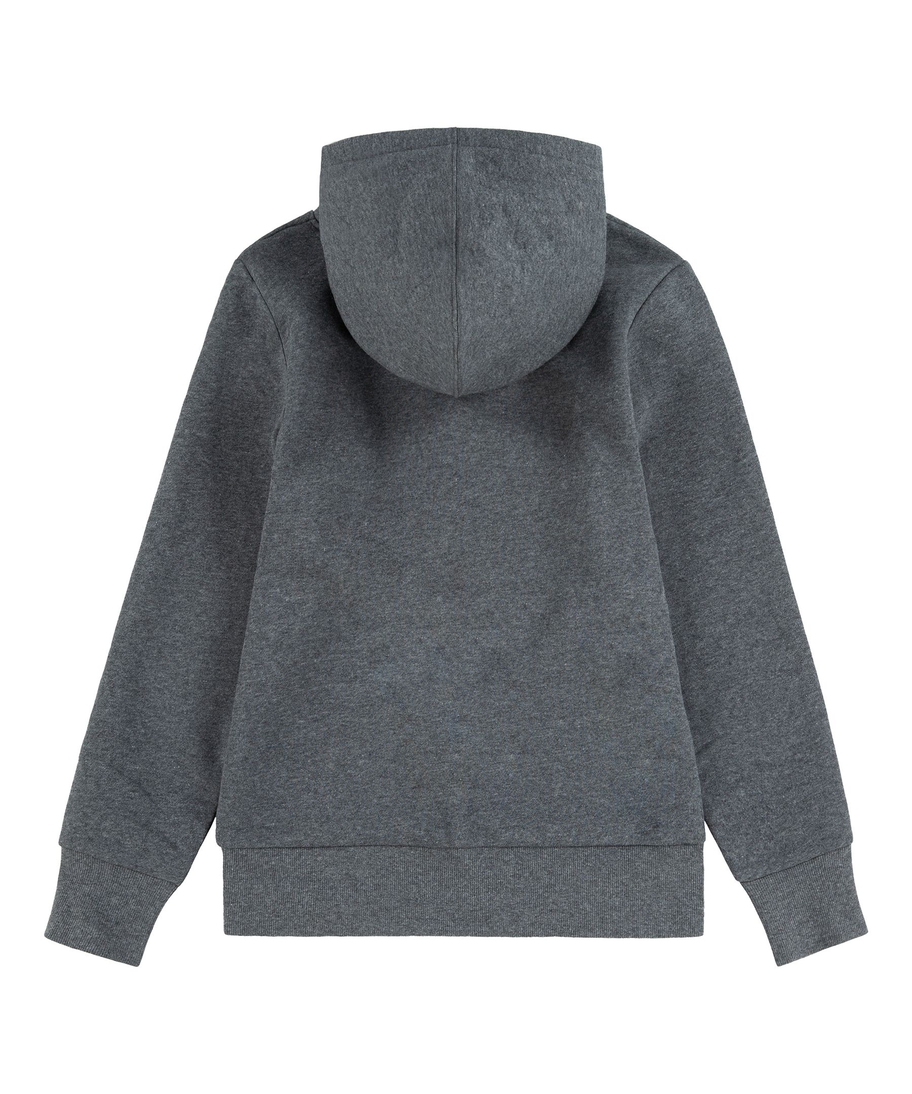 Levi's Youth Unisex Varsity Logo Hoodie